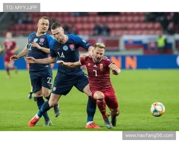 科索沃欧洲杯预选赛表现稳健，竞争力持续提升