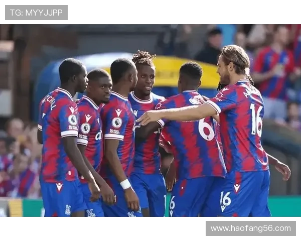 水晶宫本赛季控球能力表现稳健，中场组织效率持续提升