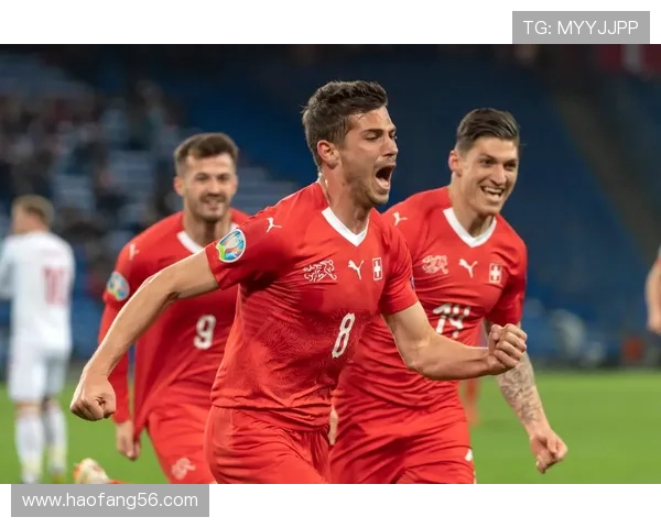 瑞士多语种球队