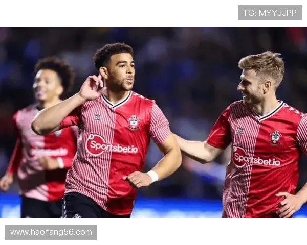 南安普顿本赛季表现稳健,竞争力持续提升 南安普顿本赛季表现稳健,竞争力持续提升