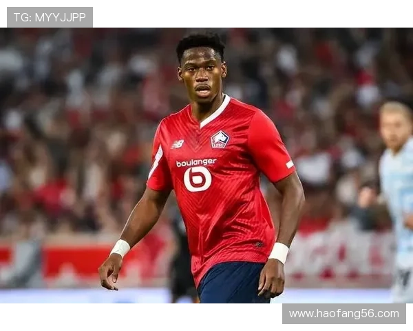 乔纳森·戴维与拉卡泽特：技术型前锋的战术角色对比分析